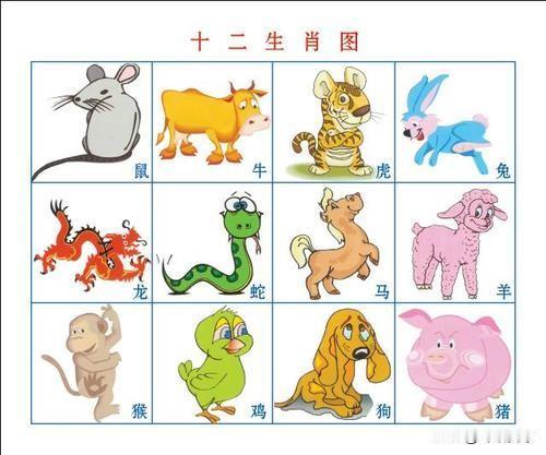 十二生肖里，最孝顺的竟是TA论孝顺藏在骨血里的牵挂刻在日常里的陪伴十二生