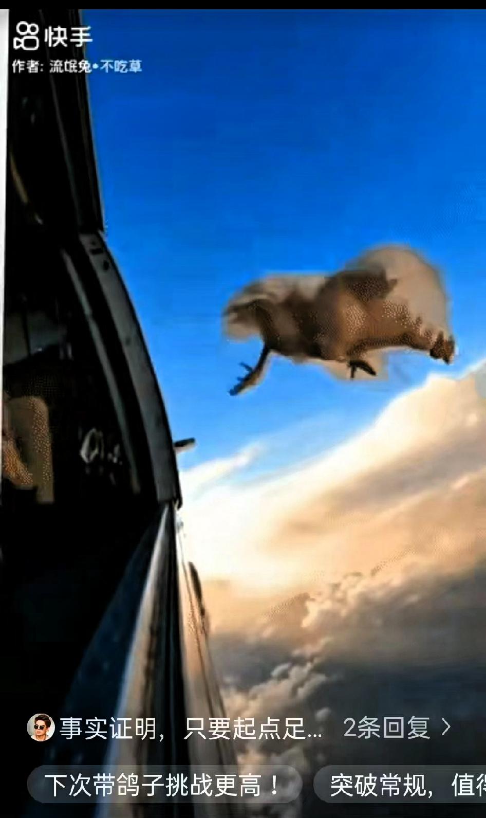 国外这个跳伞爱好者真是脑洞大开，把一只母鸡带上飞机，飞到一千米高度时，将母鸡从机