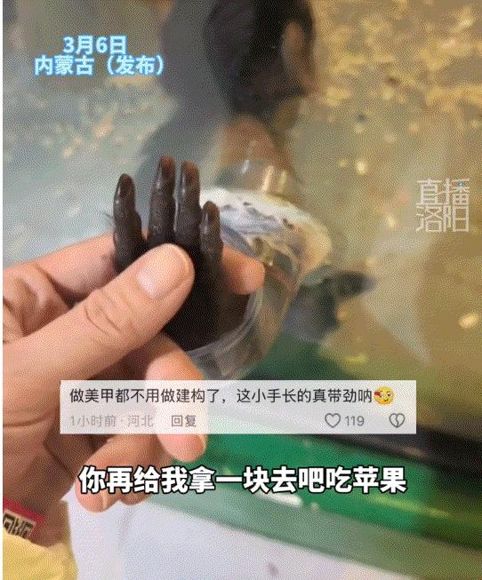 真是万万没想到！内蒙古，一女子去动物园看猴，期间就发现一只单独关着的小猴子特别可