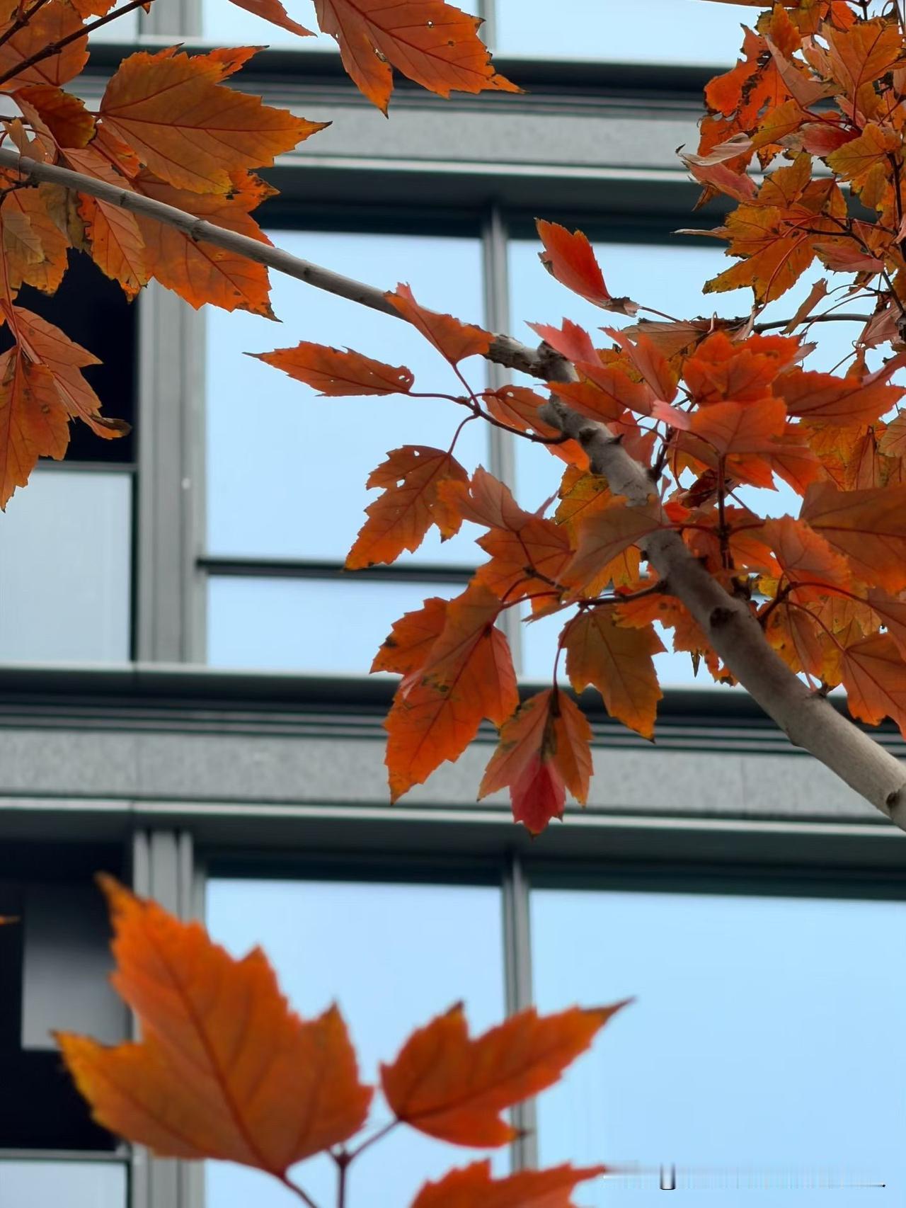 我女儿28岁，去年刚结婚，上个月查出怀孕，本来是全家开心的好事，结果婆家那边三番