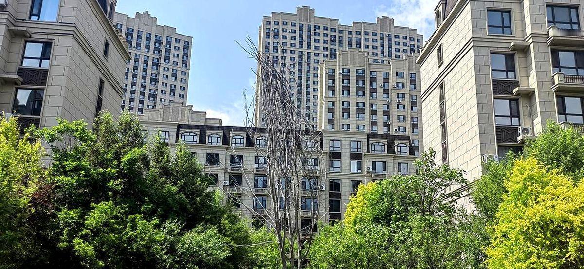 女人如果婚姻选错了，跟家里老公，三观不合，性格不合，生活习惯等诸多不和……告诉你