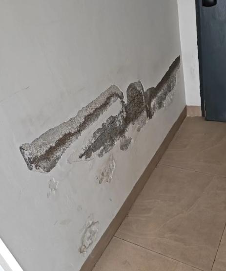 装修刚半年，墙面就起皮掉灰！找油工返修，他竟说是我家太潮！直到我哥（干了10年油