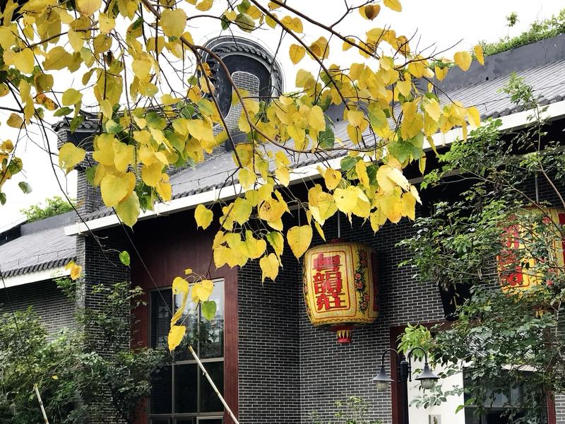 人真正大彻大悟，多在极致痛苦、重大失去、彻底失败或直面生死时发生。当依赖