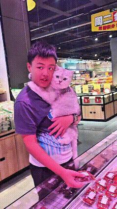 这个视频我看了好几遍，看着心里暖暖的。小猫好像心里明白，等小哥哥一开学，俩人就
