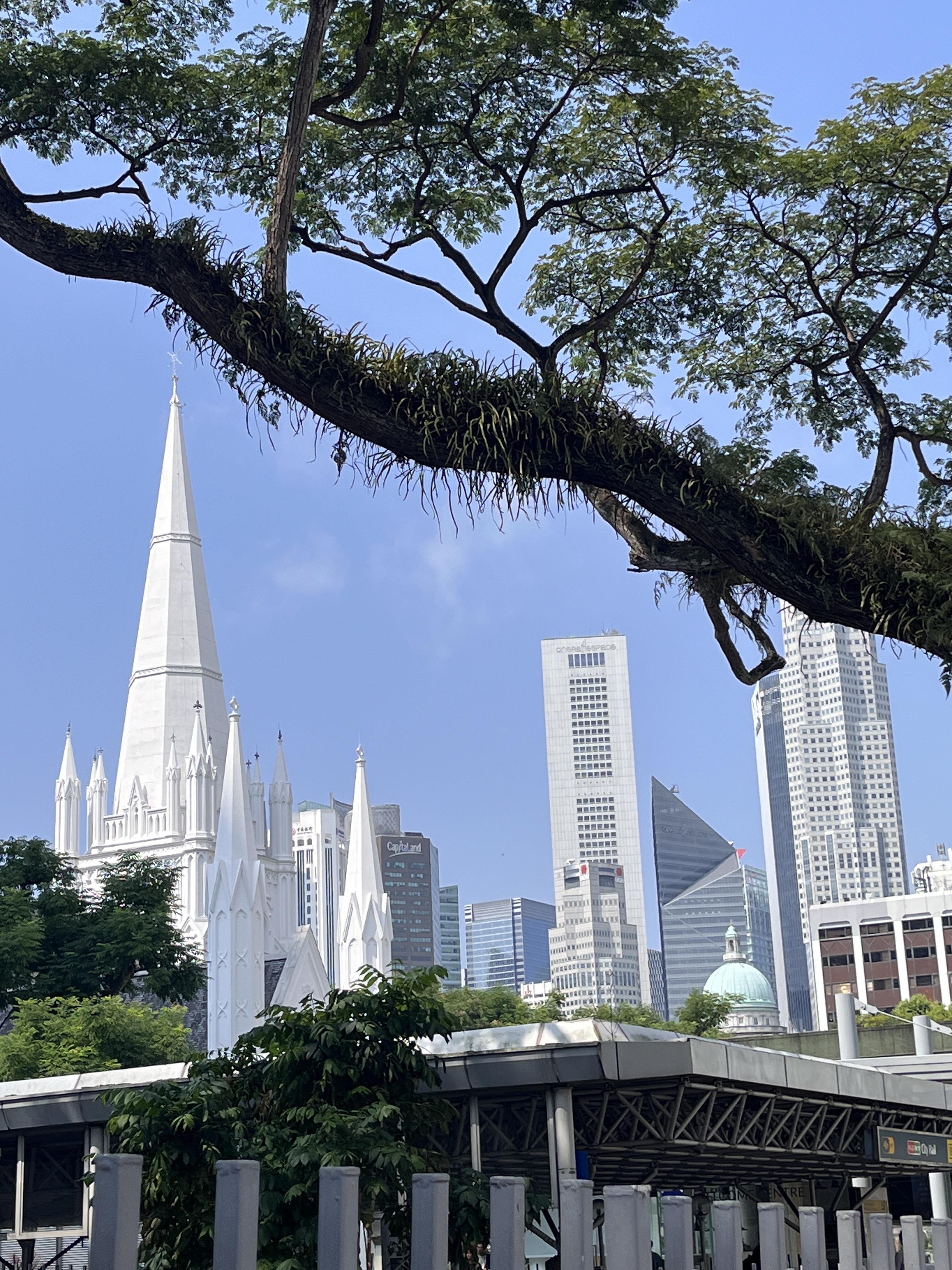 意识到上班后就没人拿你当学生了！！！