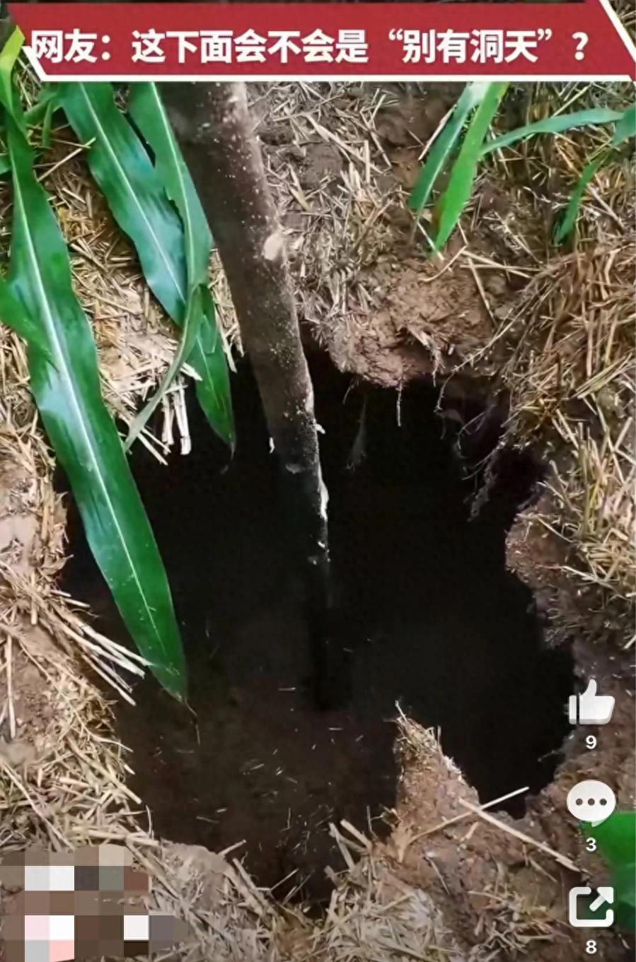 怪事频发！7月20日有媒体报道，河南一名农户在自家玉米地浇水劳作时，意外遭遇惊险