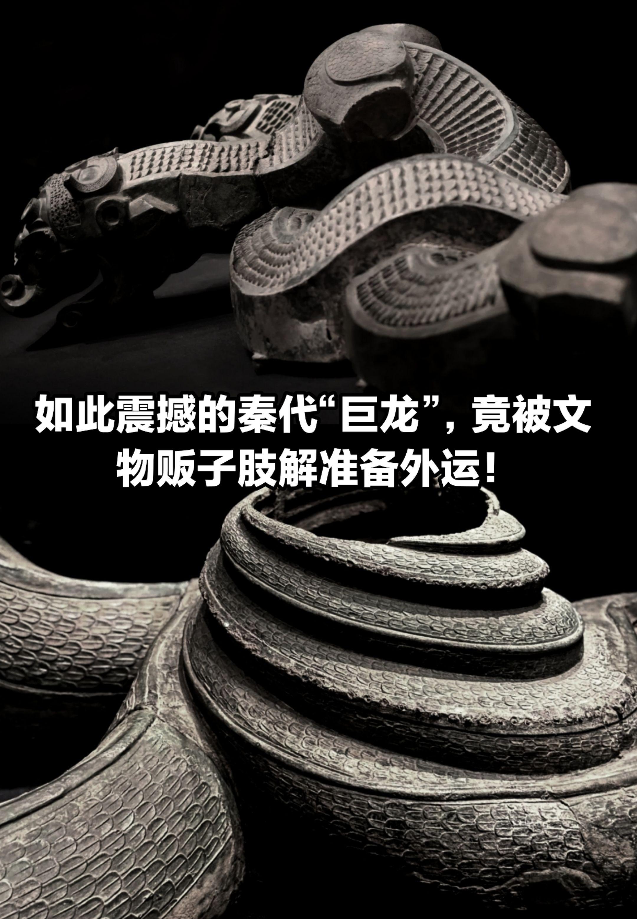 如此震撼的秦代巨龙，竟被文物贩子肢解外运。