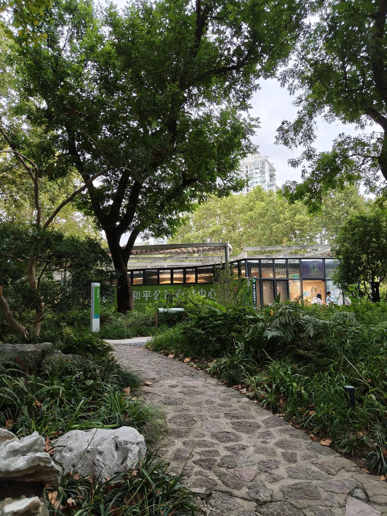周末公园散步随手拍～🌸🌿秋日傍晚🌆随手拍实景图分享！