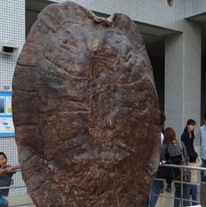 1994年5月，江苏盐城千秋大桥施工现场，竟然发生一件离奇怪事，早起的工人们更是