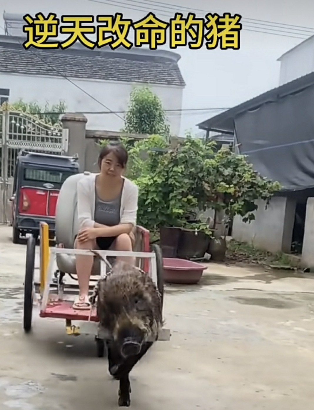 技能改变命运