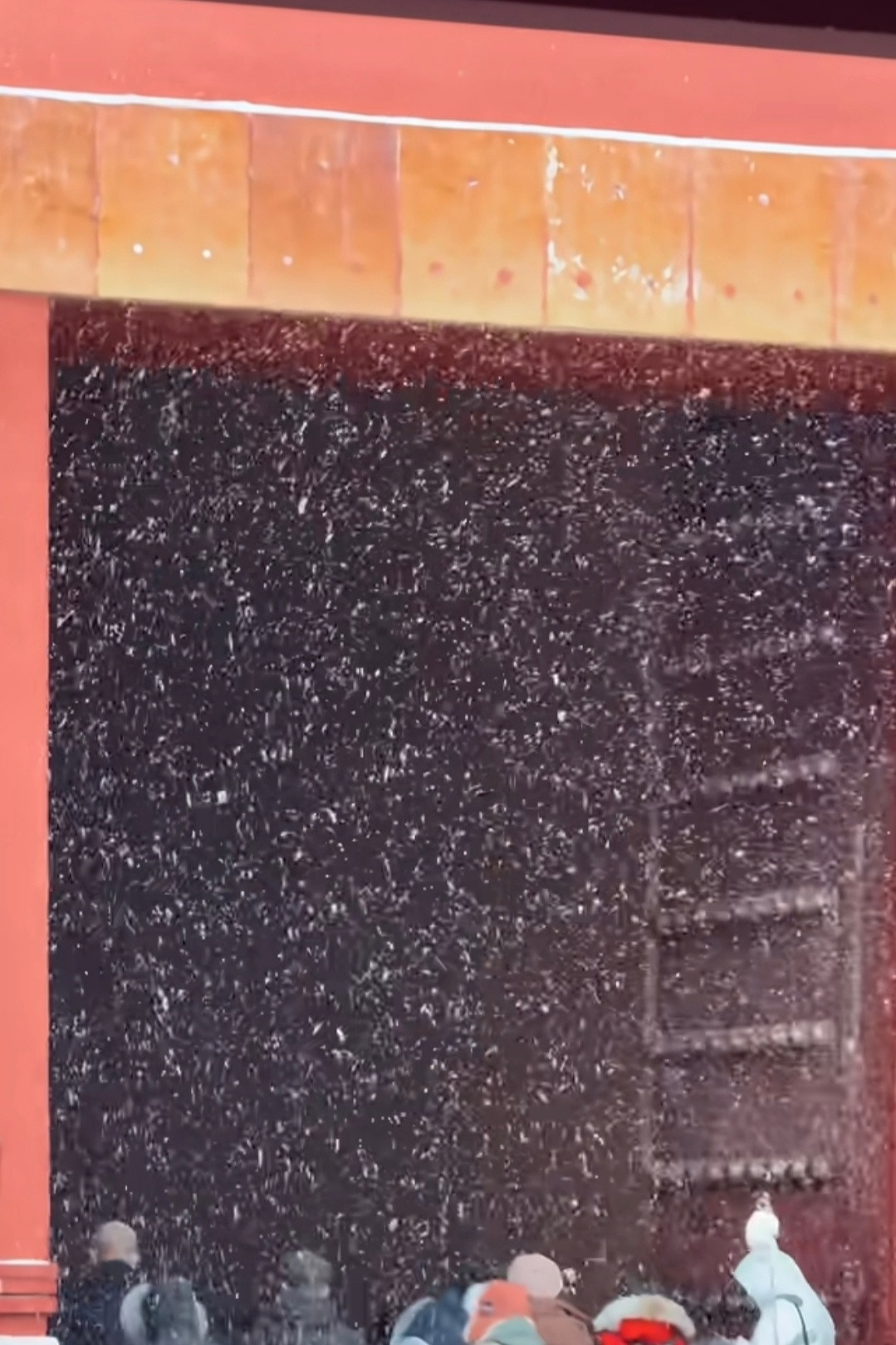 一下雪，北京就成了北平，故宫便成了紫禁城❄️红墙黄瓦白雪，每一帧都是百年时光的吻