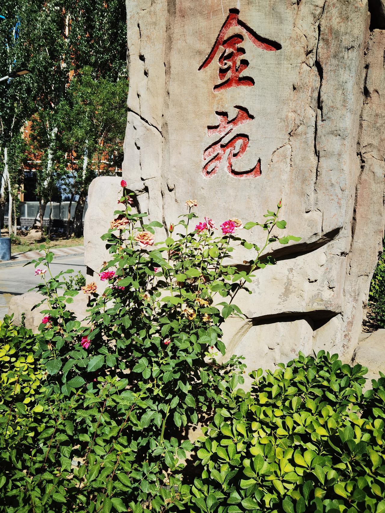 现在好多宝妈打听，给宝宝吃DHA，究竟对大脑有没有好处。有的宝妈想给宝宝吃，但又