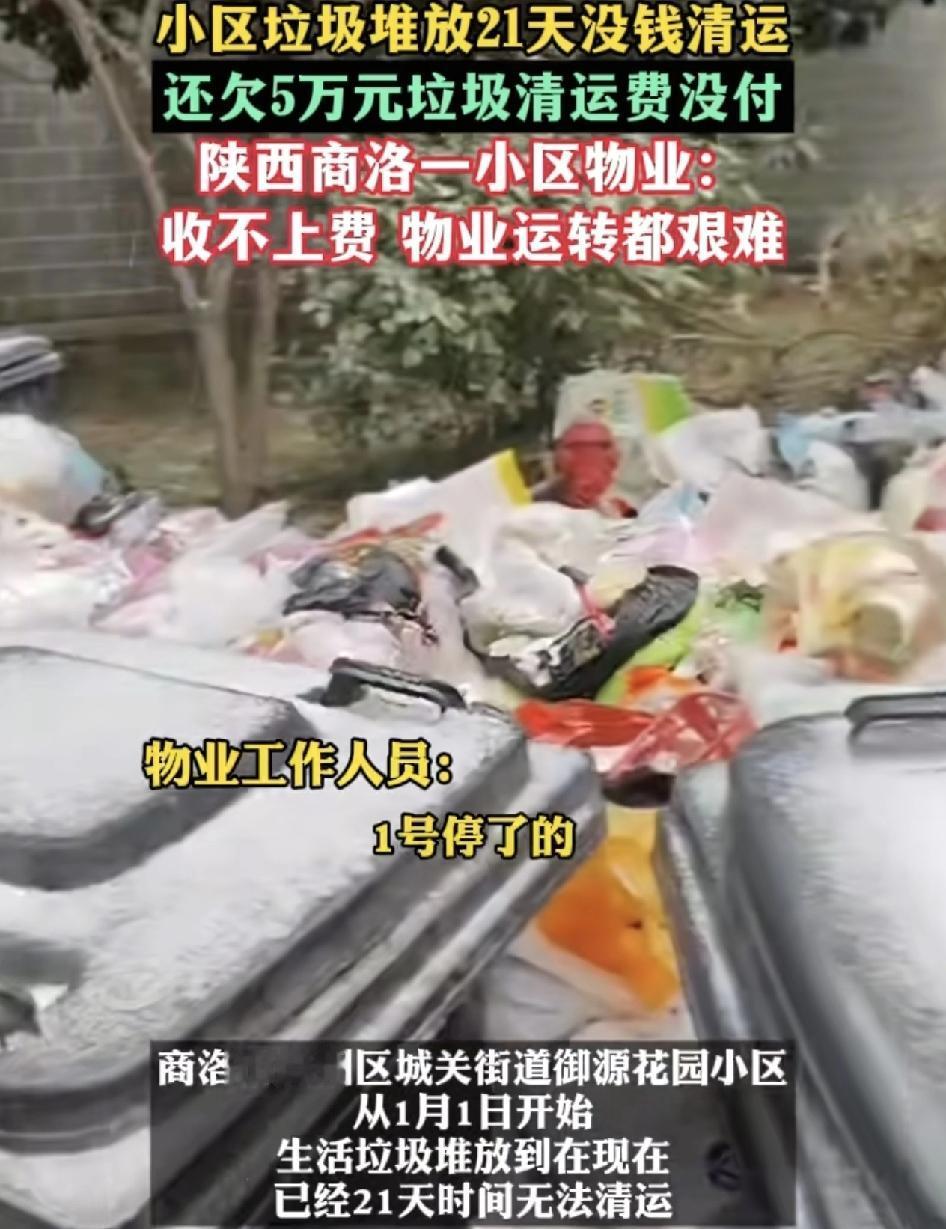 陕西商洛一小区连续21天垃圾没有清理，垃圾全部堆放在门口。物业表示，还欠着5万元