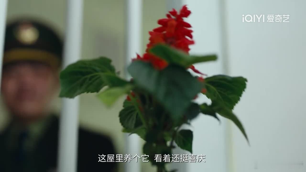 电视剧岁月有情时黄景瑜张小满张小满可贵的地方就是，他喜欢严晓丹，但是从来都是支