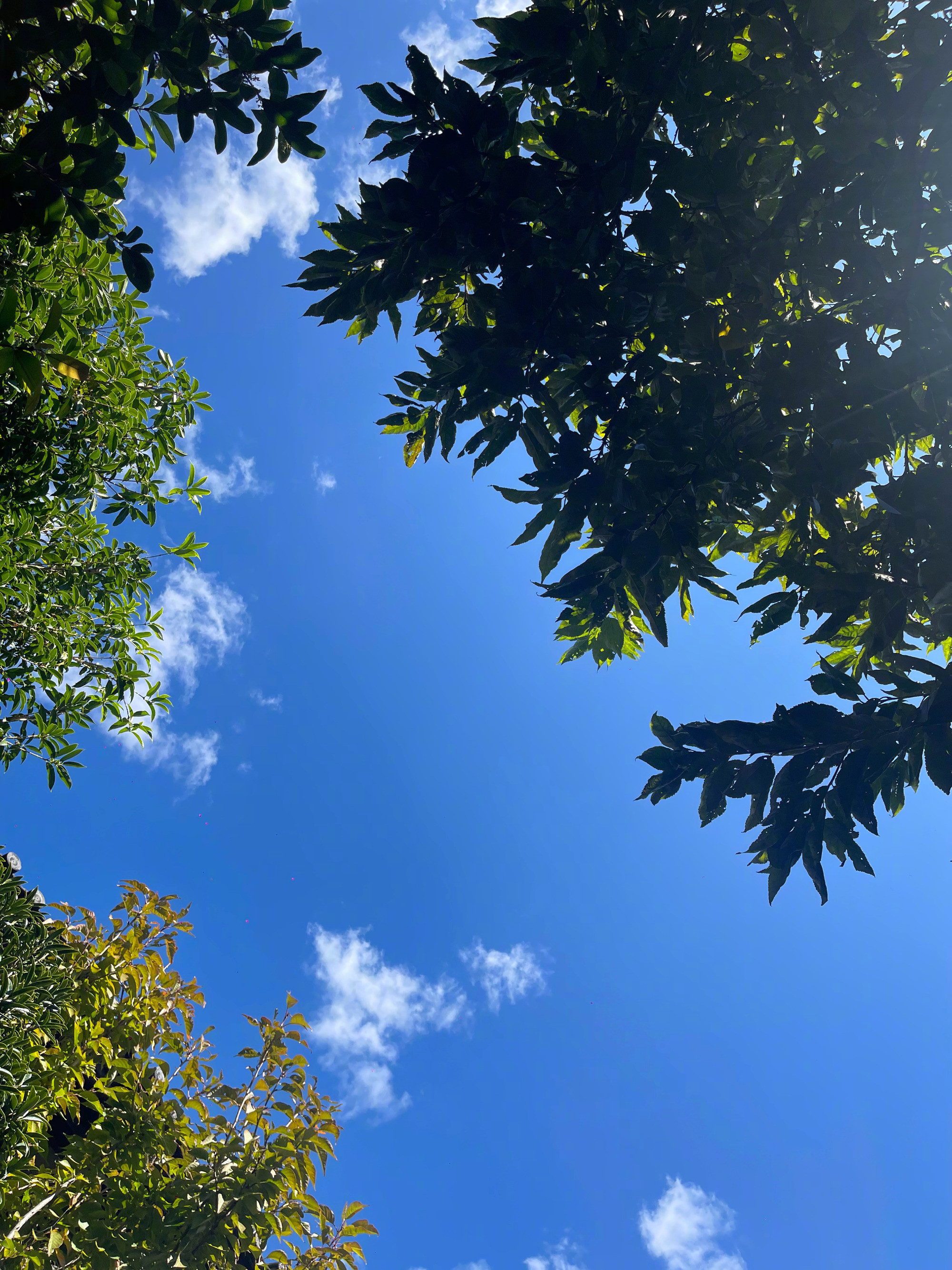 人生的价值和意义，生命的满足感、安全感、幸福感，这些都是人内在的感受。人性中最奇