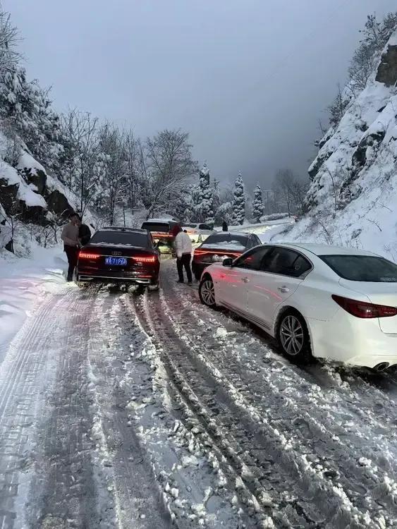 雪终于来了！河南郑州出现大暴雪，河南局地积雪深度超20厘米。前些日子天气预报说，