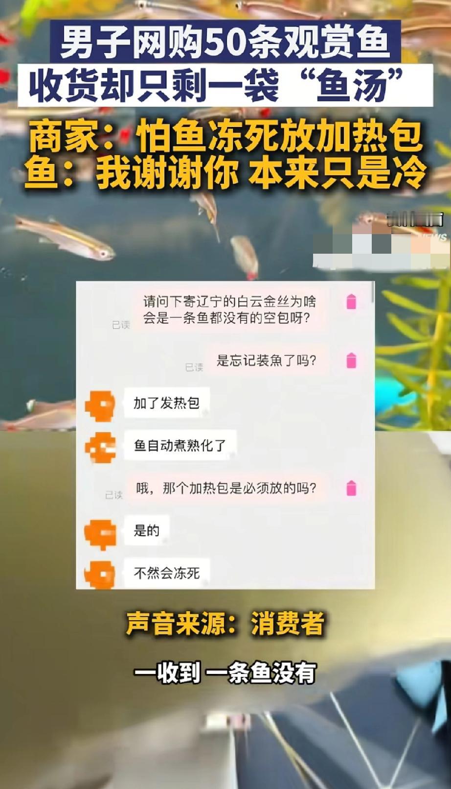 辽宁网友网购50条观赏鱼，拆开快递就一袋水，鱼呢？商家说：广东发东北太冷，