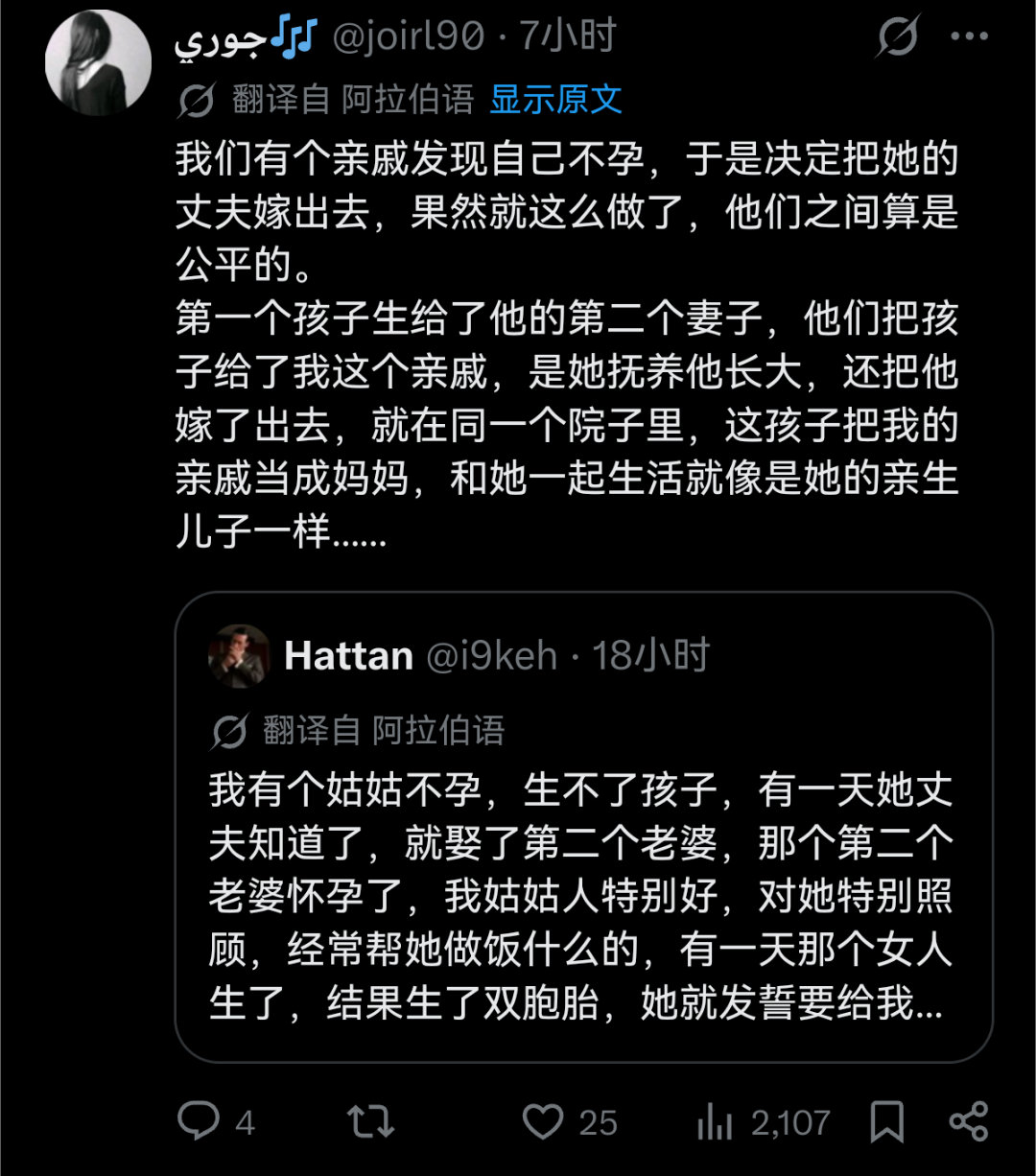 马斯克大翻译运动后，刷到了阿拉伯世界的“温情故事”——​
