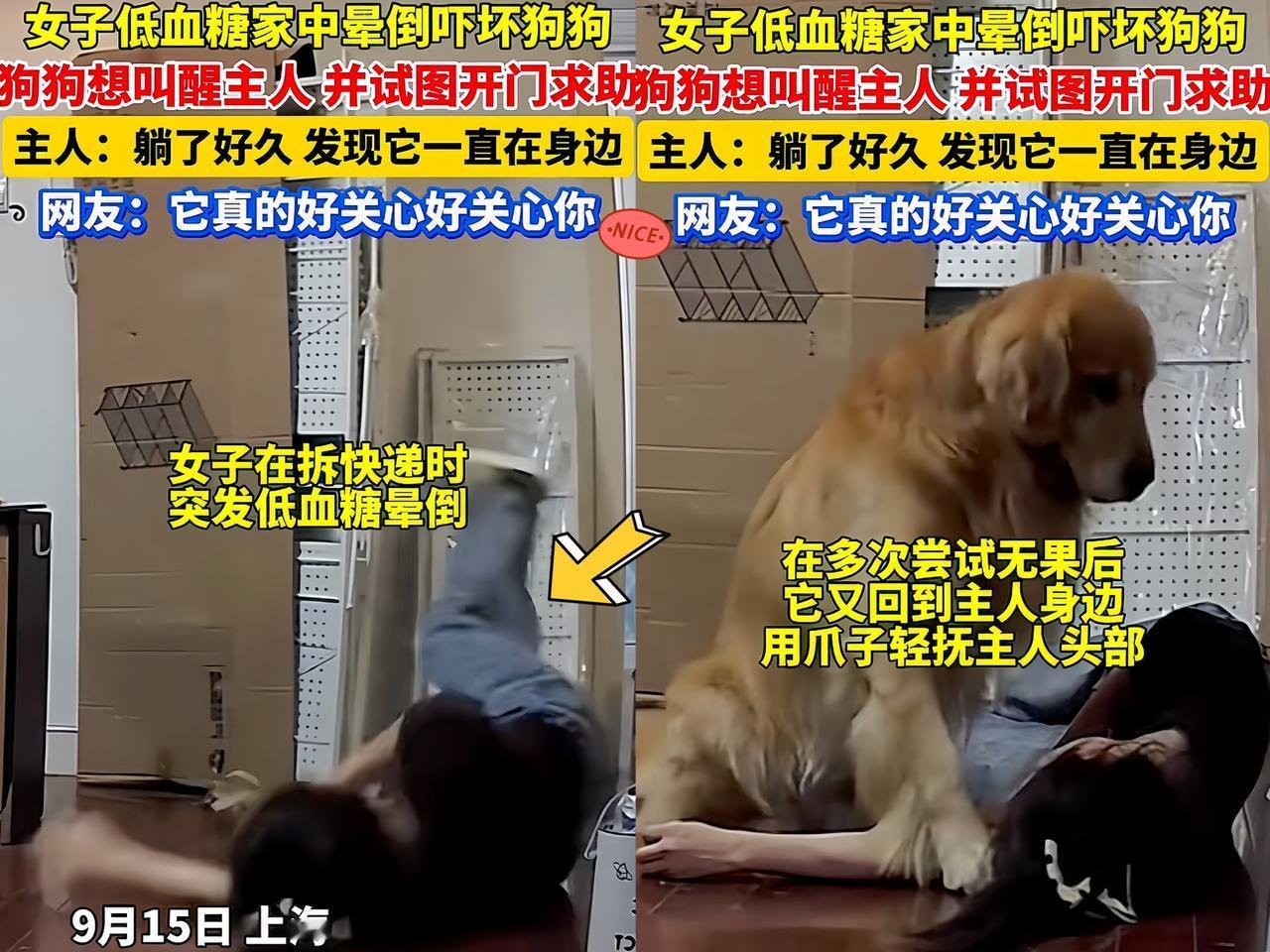 万万没有想到，近日，上海一独居女子独自在家拆包裹时，突然发生低血糖后晕倒