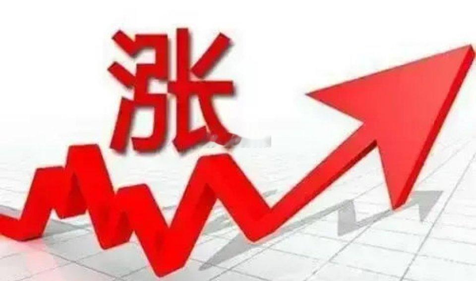 财经过年之前一个月买光线传媒，3月买明星电力或者西昌电力五一以后买巨化