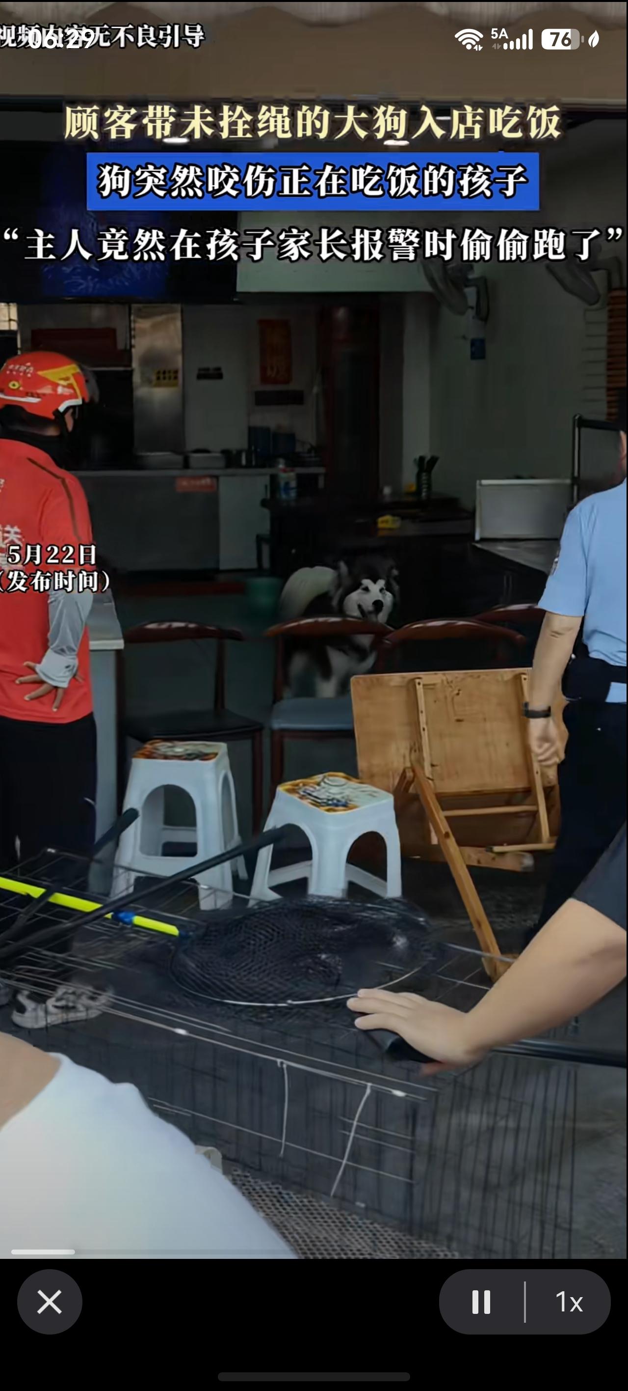 顾客带未拴绳的大狗入店吃饭，狗突然咬伤正在吃饭的孩子“主人竟然在孩子家长