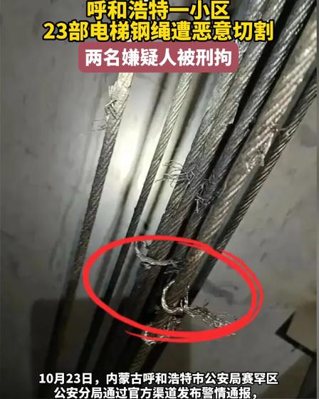 “简直坏到骨子里！”内蒙古呼和浩特，居民乘电梯时听见轿厢“咯吱咯吱”异响，赶