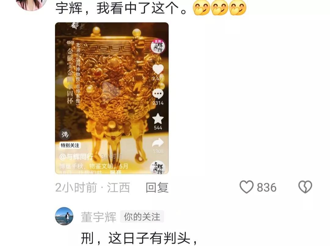 与辉同行发布了云游博物馆预热视频，没想到董宇辉在评论区闲逛，还给网友留言：“刑，