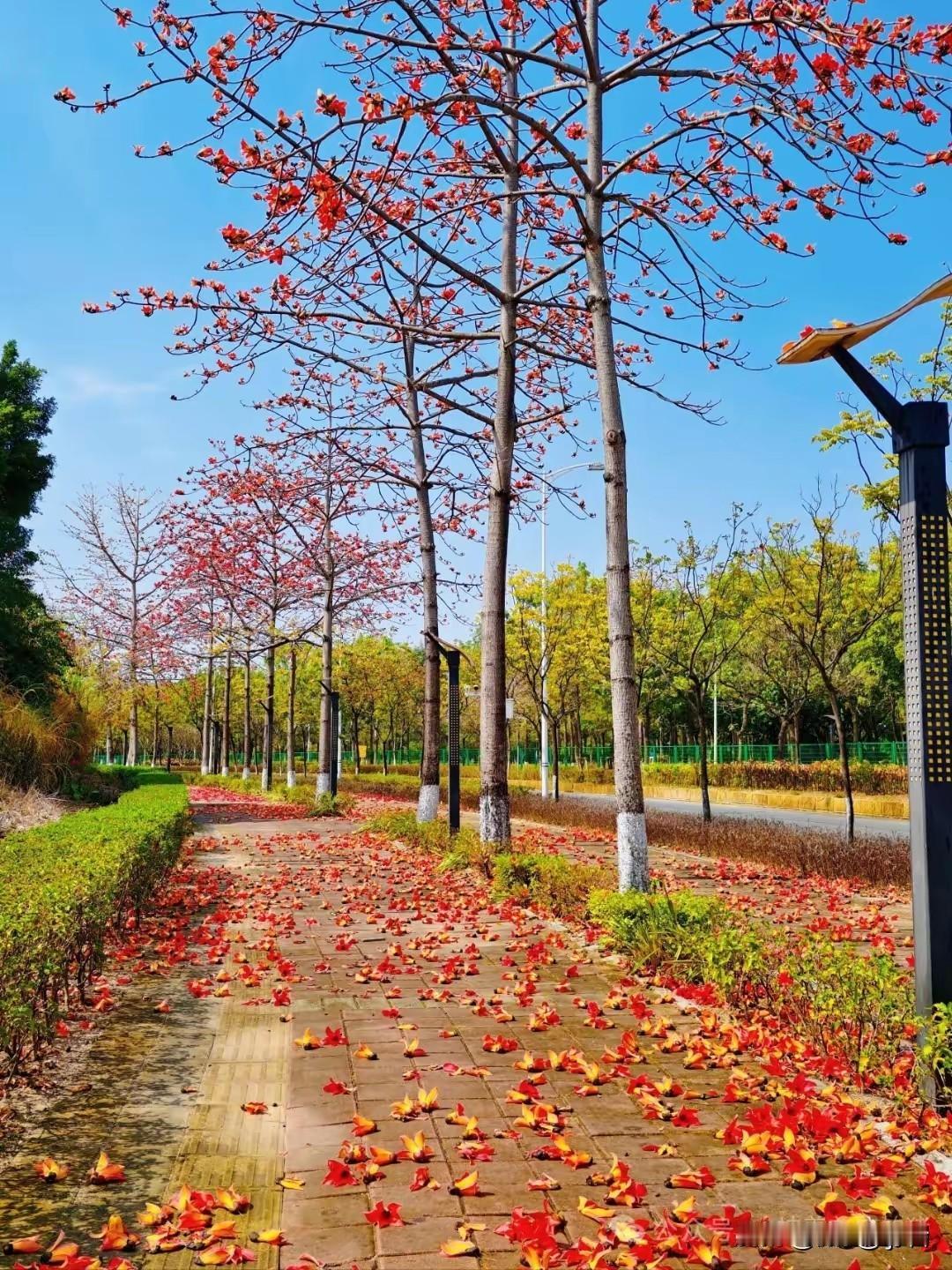 人体最好的养生方法一、饮食养生1. 三餐规律，七八分饱，不暴饮暴食
