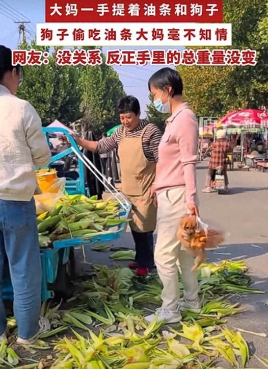 “笑不活了！”10月15日报道，山东，一大妈将小狗和油条单手提着，她在玉米摊前专