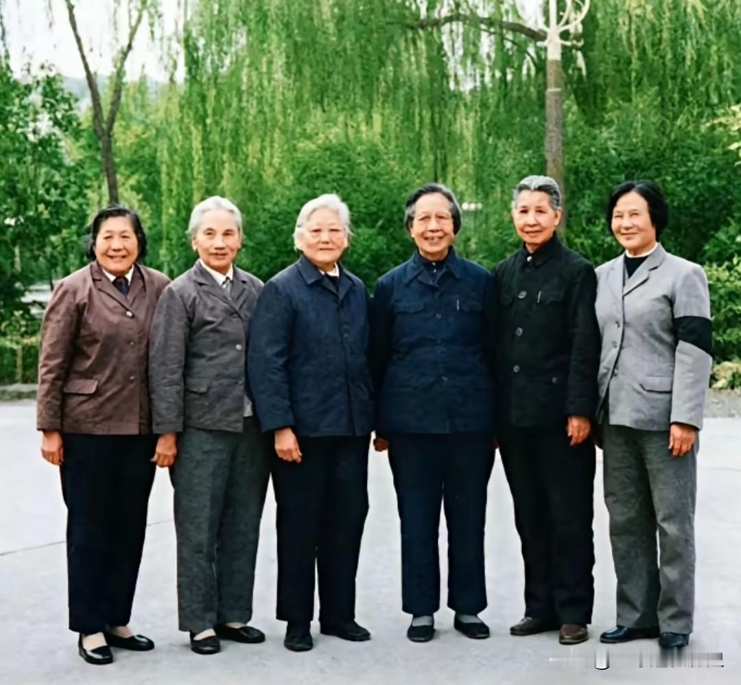 这张1984年的合影，定格了廖似光、钟月林、彭儒、邓六金、曾志、谢飞六位走过长征