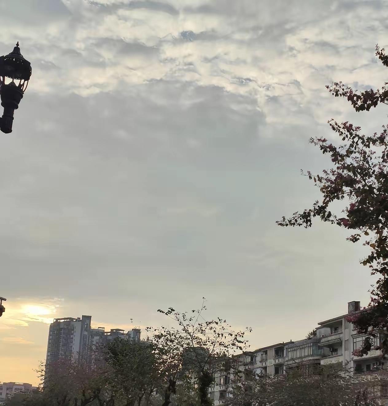 前阵子，对门邻居又在小区群里显摆，说她家儿子考了年级第一。我听着，脸上堆着笑，嘴