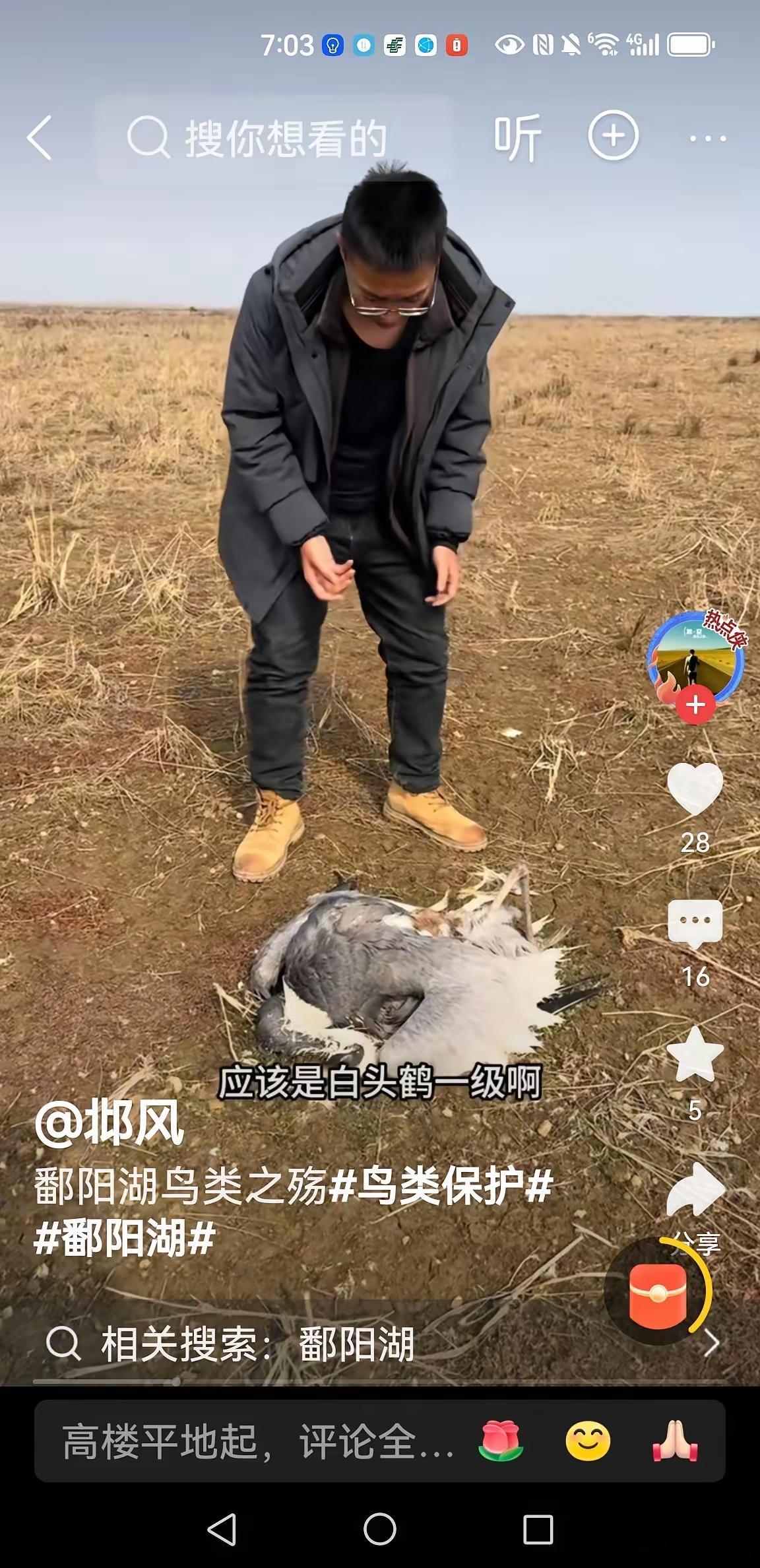 刚刷到有坏人在鄱阳湖投毒，导致很多南飞大雁及各种鸟类在此栖息时被毒死。真是太令人