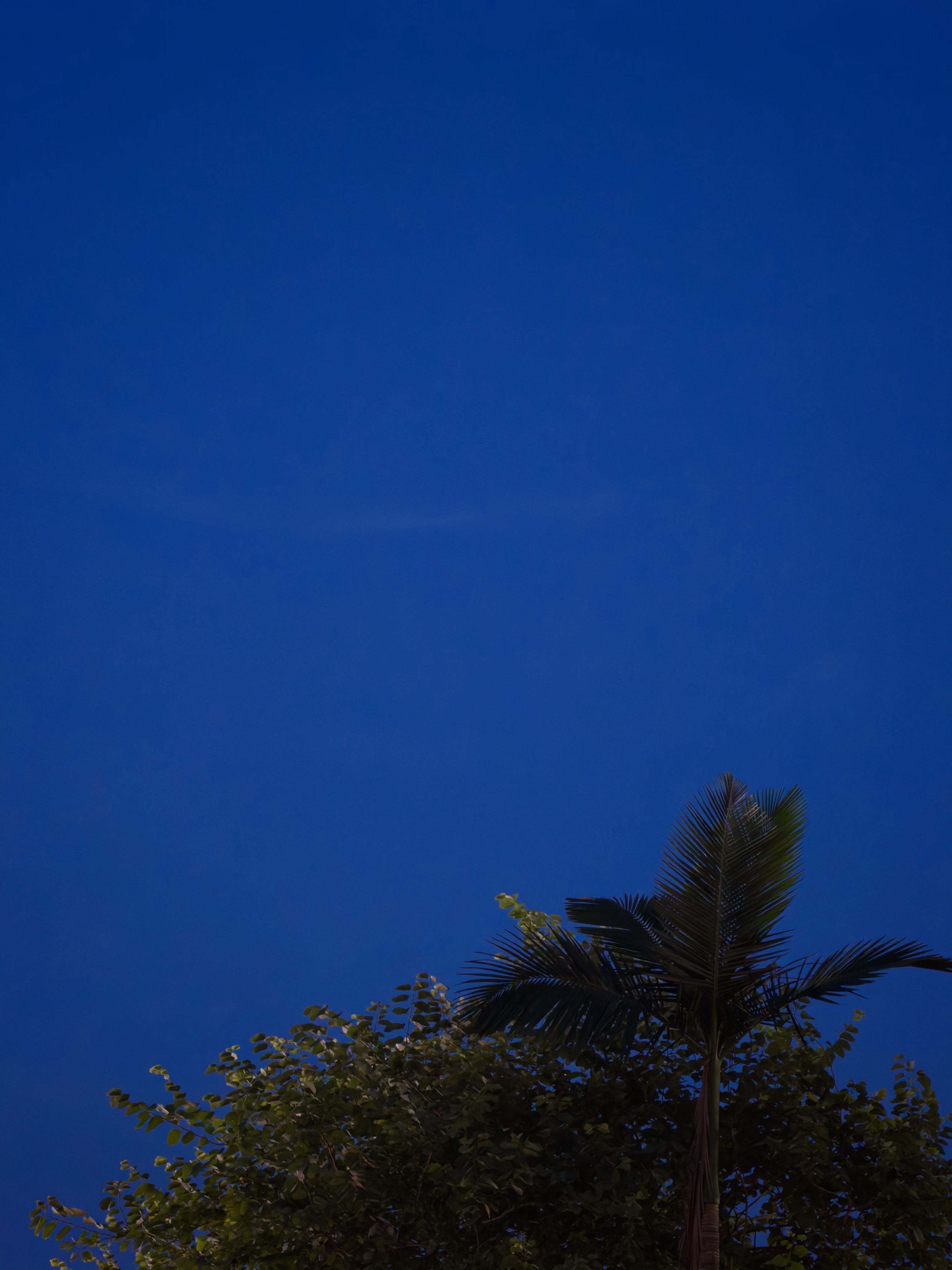 BluesMoment​​​