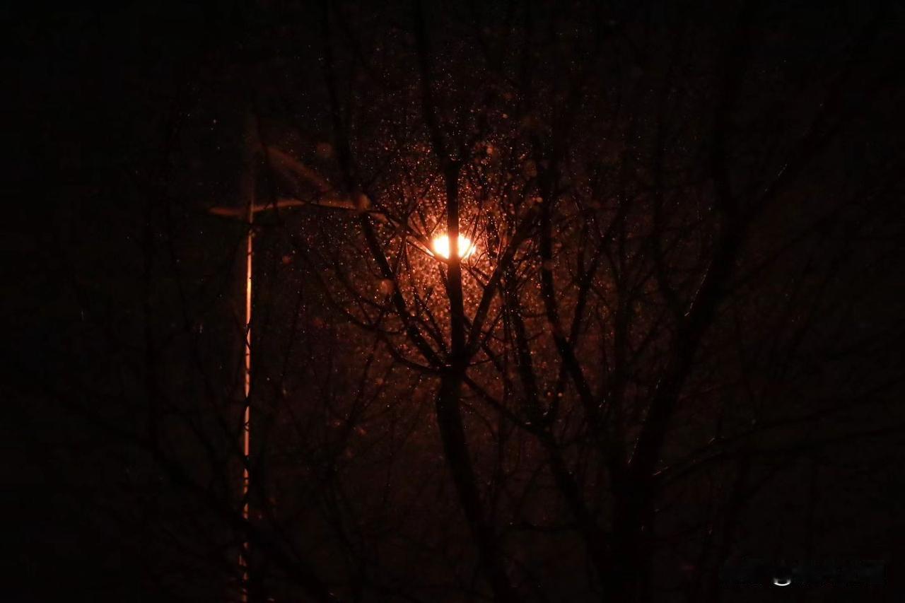 最愁上医院了，一进医院，没病也能被医生给吓死。前一段时间忽然心慌，气闷，尤其是