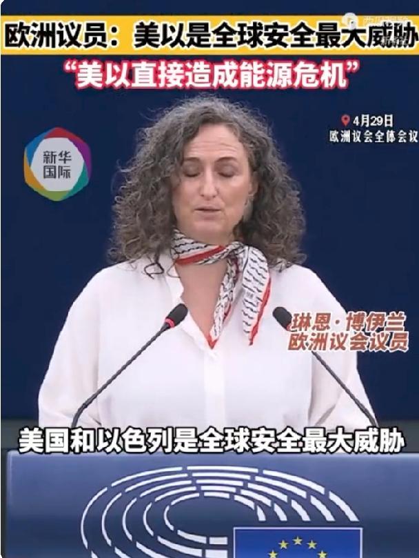 【两个大坏蛋】爱尔兰籍欧洲议会议员琳恩·博伊兰于4月29日在欧洲议会全体会议上