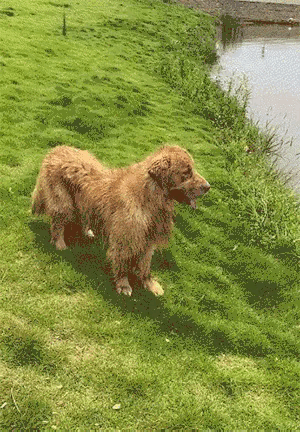 开什么玩笑，总不能什么都听你的吧？