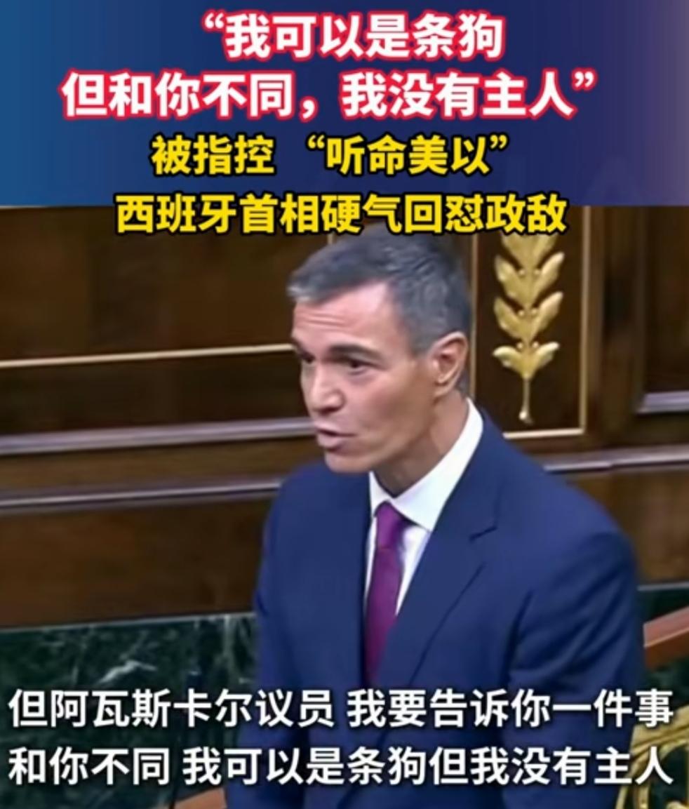 “我可以是条狗，但和你不同，我没有主人！”西班牙首相桑切斯的反击确实硬气！西班