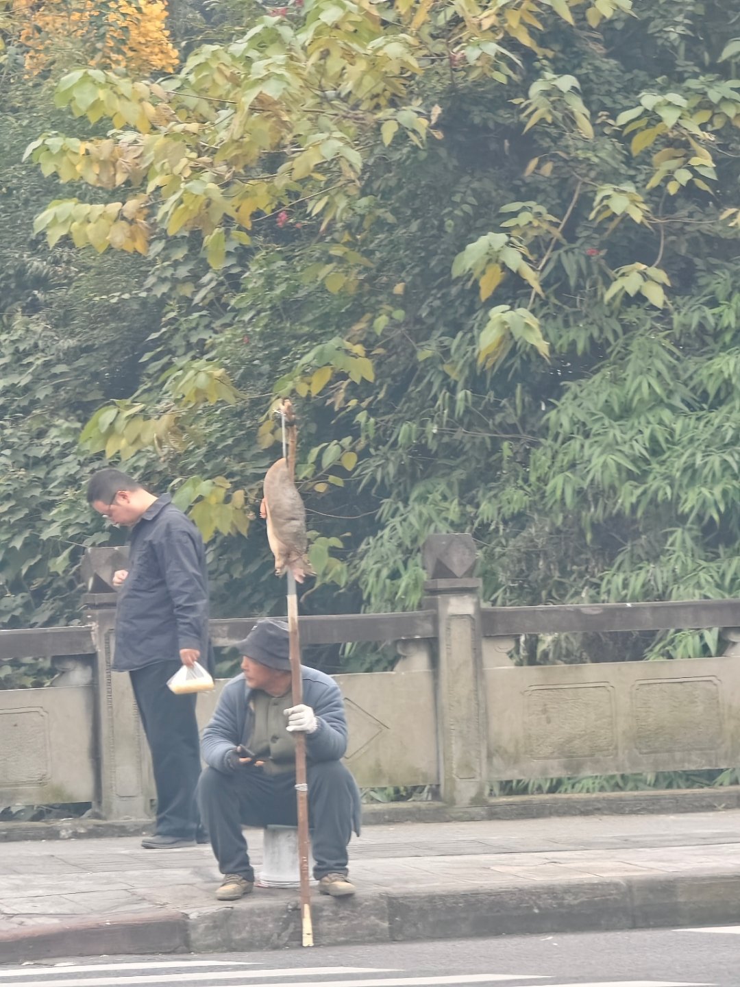 大街上卖王八的是什么套路，有懂的吗？