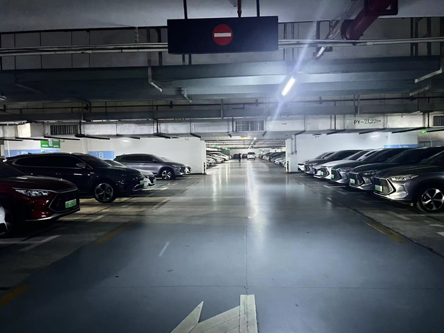 今天停车突然发现宋确实很多人在开我楼下停车场，一眼望去好多宋