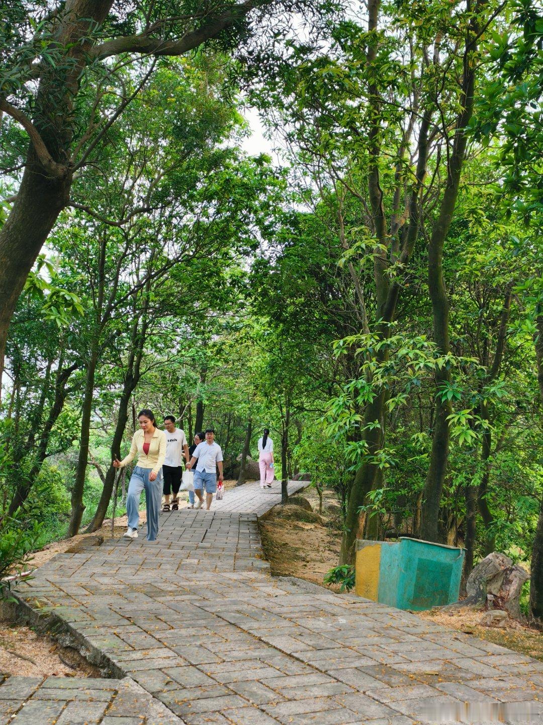 生态中山时隔十多年再爬云梯山⛰️，交通最方便的入口是南朗快线出崖口村的辅道旁，