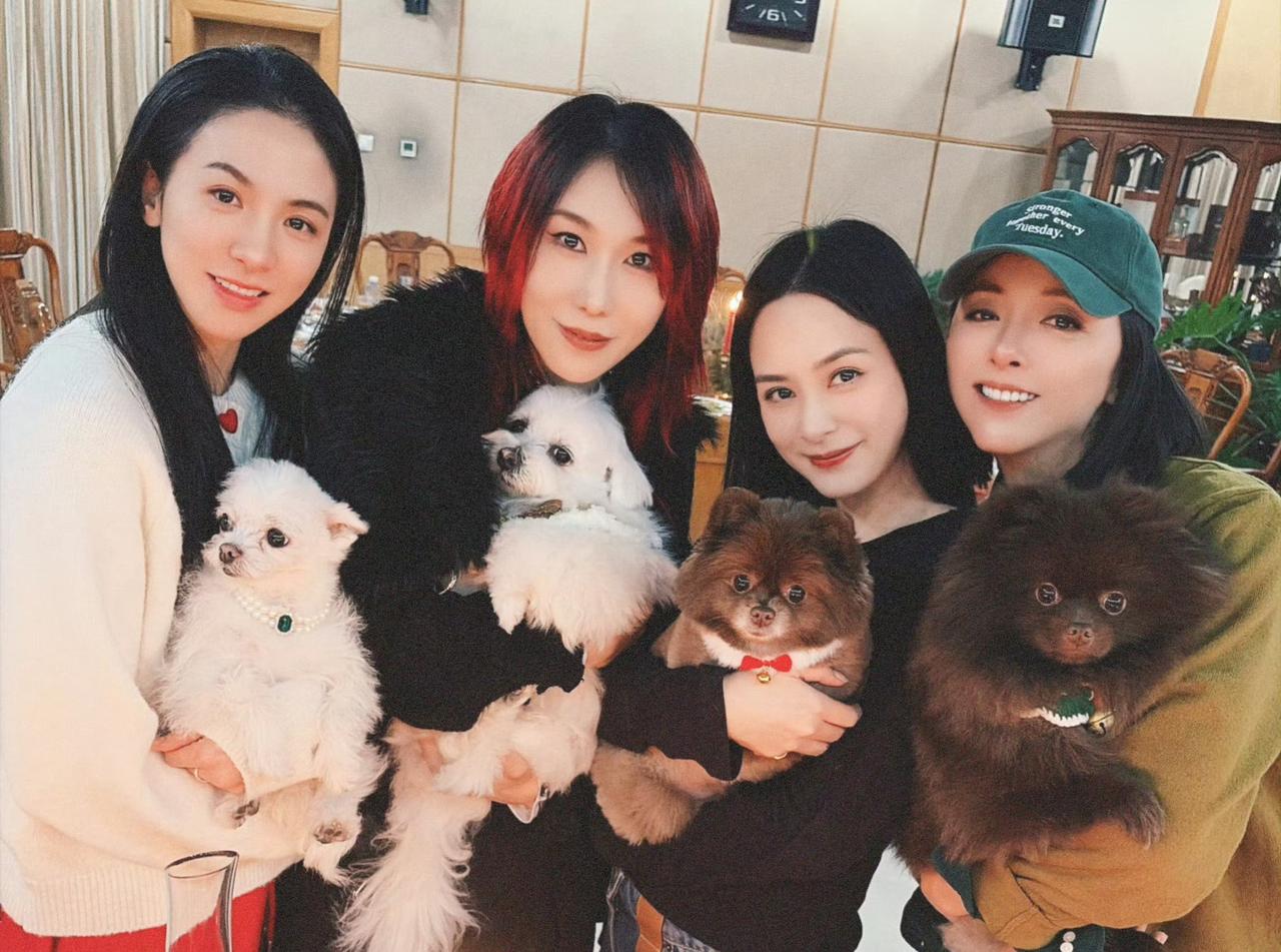 浪姐三姐妹聚会，阿娇，王心凌，黄小蕾，赵梦，唐诗逸五人聚会好热闹，她们在户外聚餐