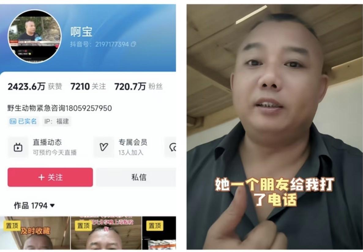 27岁女生在三亚疑被蛇咬伤身亡后，有一个叫做“啊宝”讲毒蛇的博主是火了，一天之内