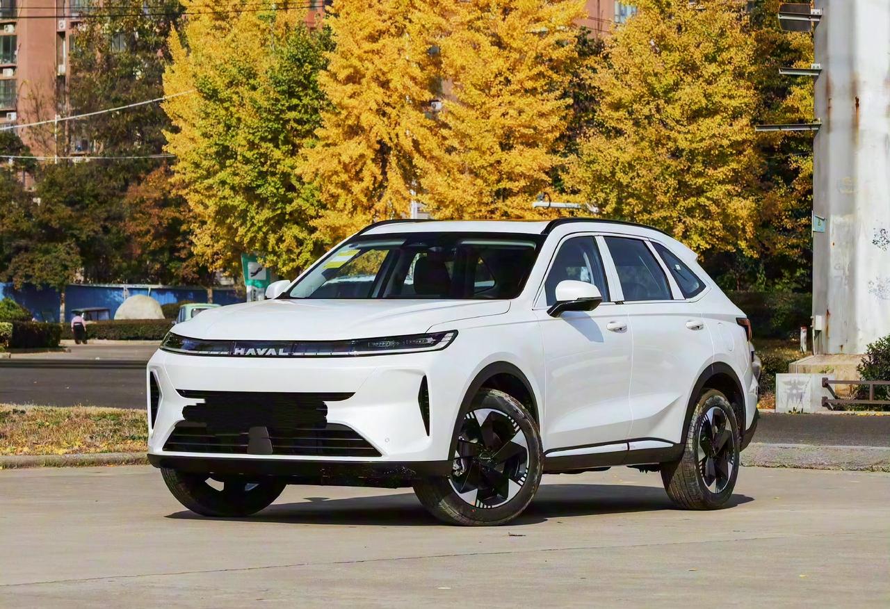 哈弗H6L上市，尺寸轴距加长，提供1.5T/2.0T动力指导价11.79-14