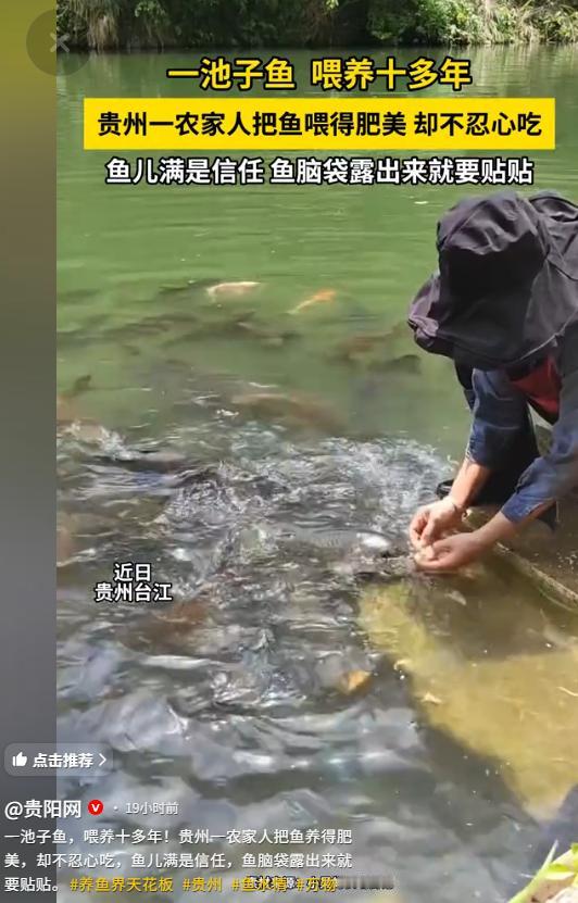 万物皆有灵性，5月8日贵阳网报道，贵州台江有位女子在网上分享，妈妈在池塘里养了十