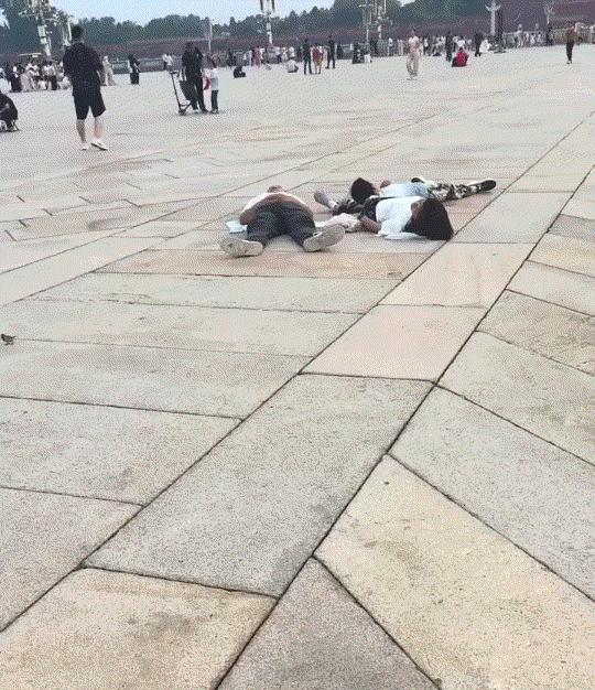 笑不活了。一家人前往天安门排队等看升国旗，不料正在进行升旗仪式时，一家人却直接躺