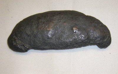 亨利·霍尔于1755年在埃迪斯通灯塔遭遇的磨难，已由皇家学会的一篇论文和爱德华·