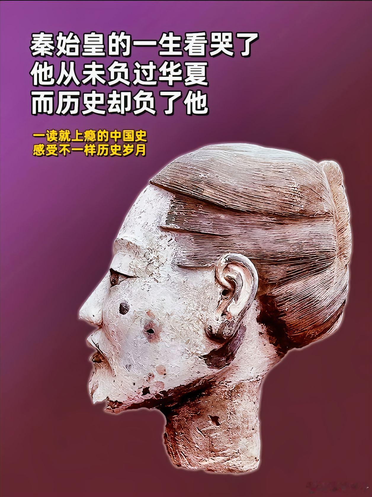 历史的评价和权威，将来都是有网友来决定了。比如对秦始皇的评价。嬴政栽树，刘邦摘果