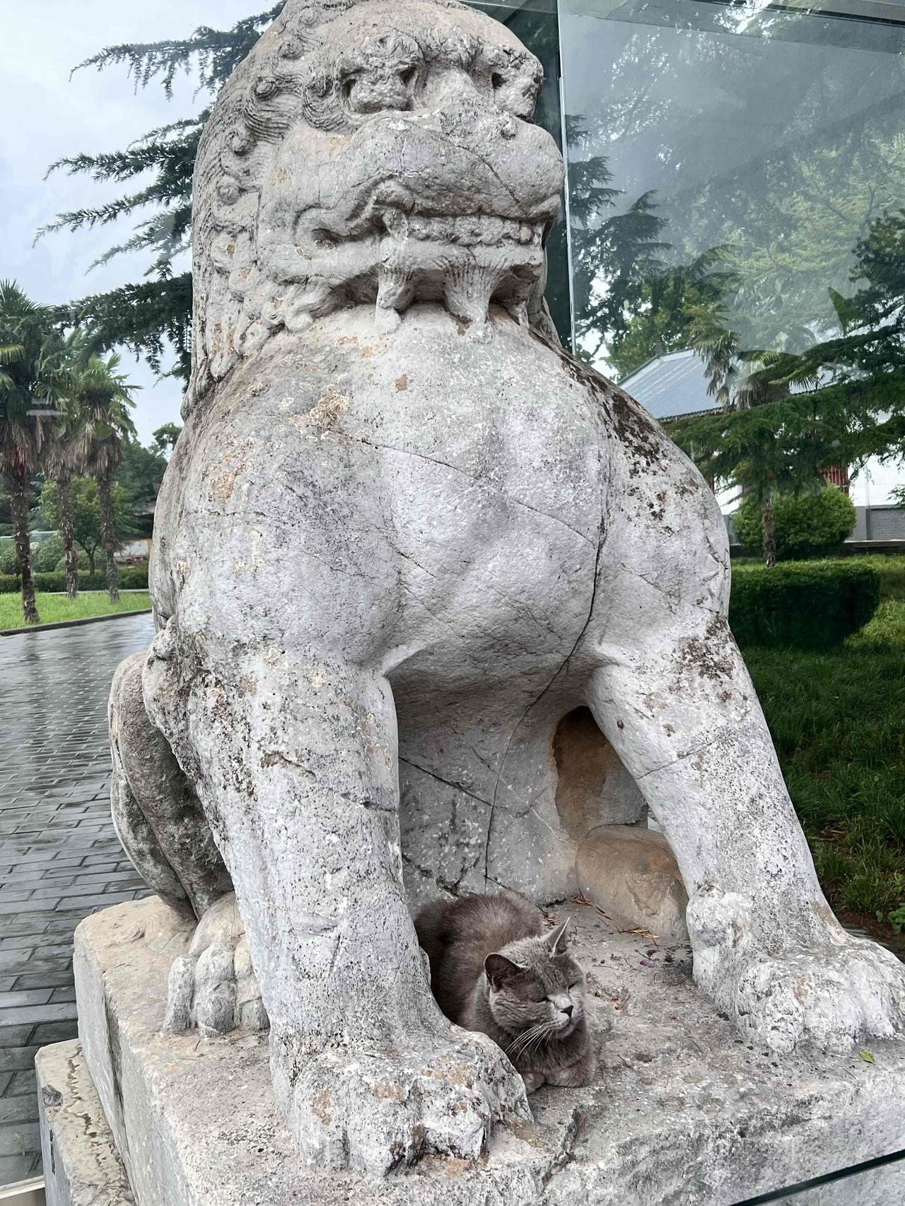 我婆婆是个很奇葩的人：对他唯一的儿子不算好，人家的思想是我把你养大了就行了，反正