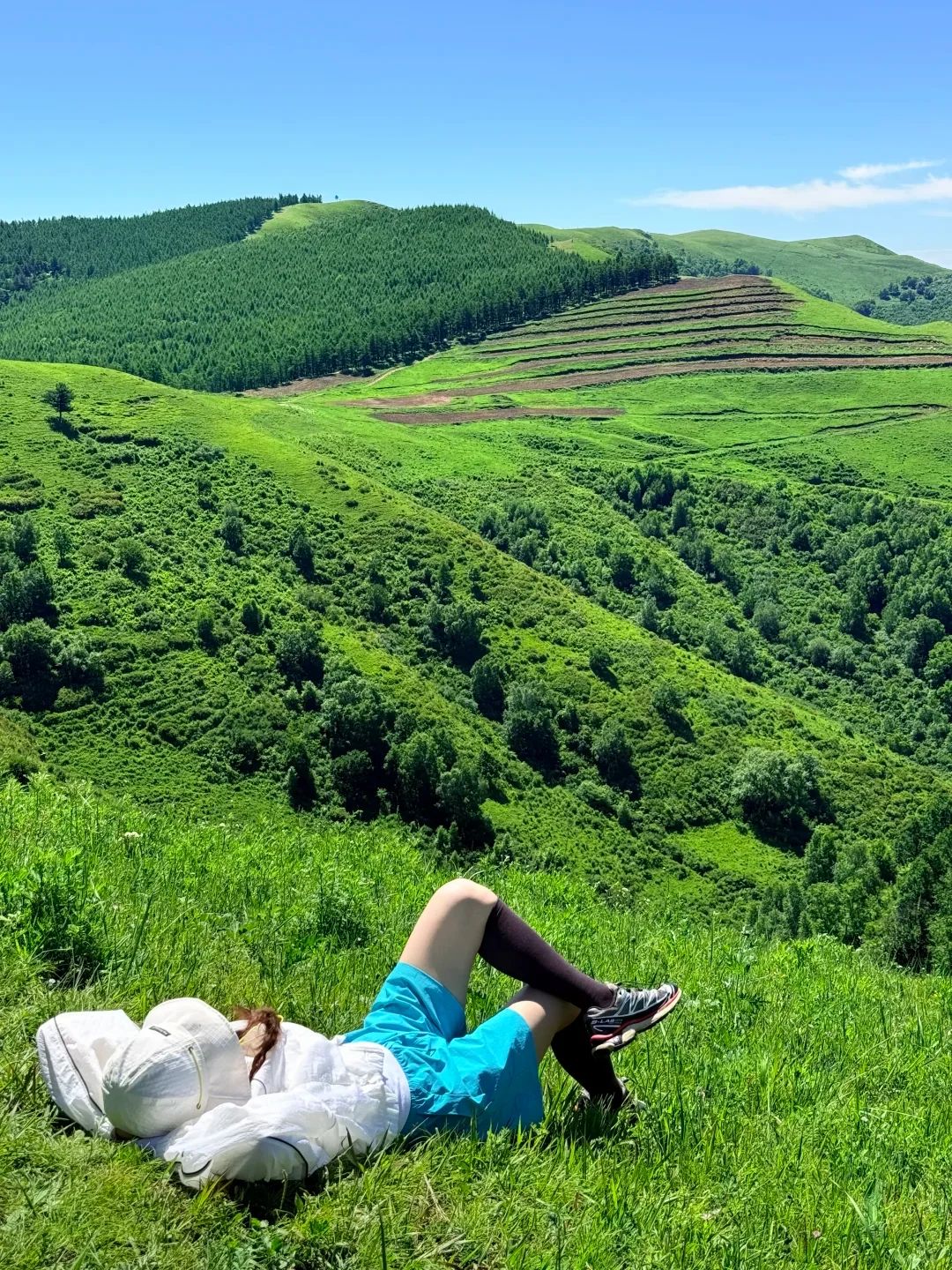 饮牛渠原生态高山草甸，天然避暑氧吧🌿