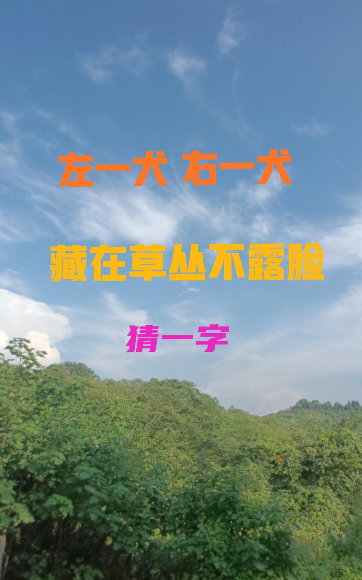 字谜大挑战！这个字谜有点难哦，有才你就来试试！左一犬，右一犬，藏在草丛露脸